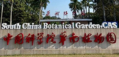 中国科学院华南植物园密集架采购项目