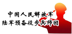 陆军预备役步兵师团